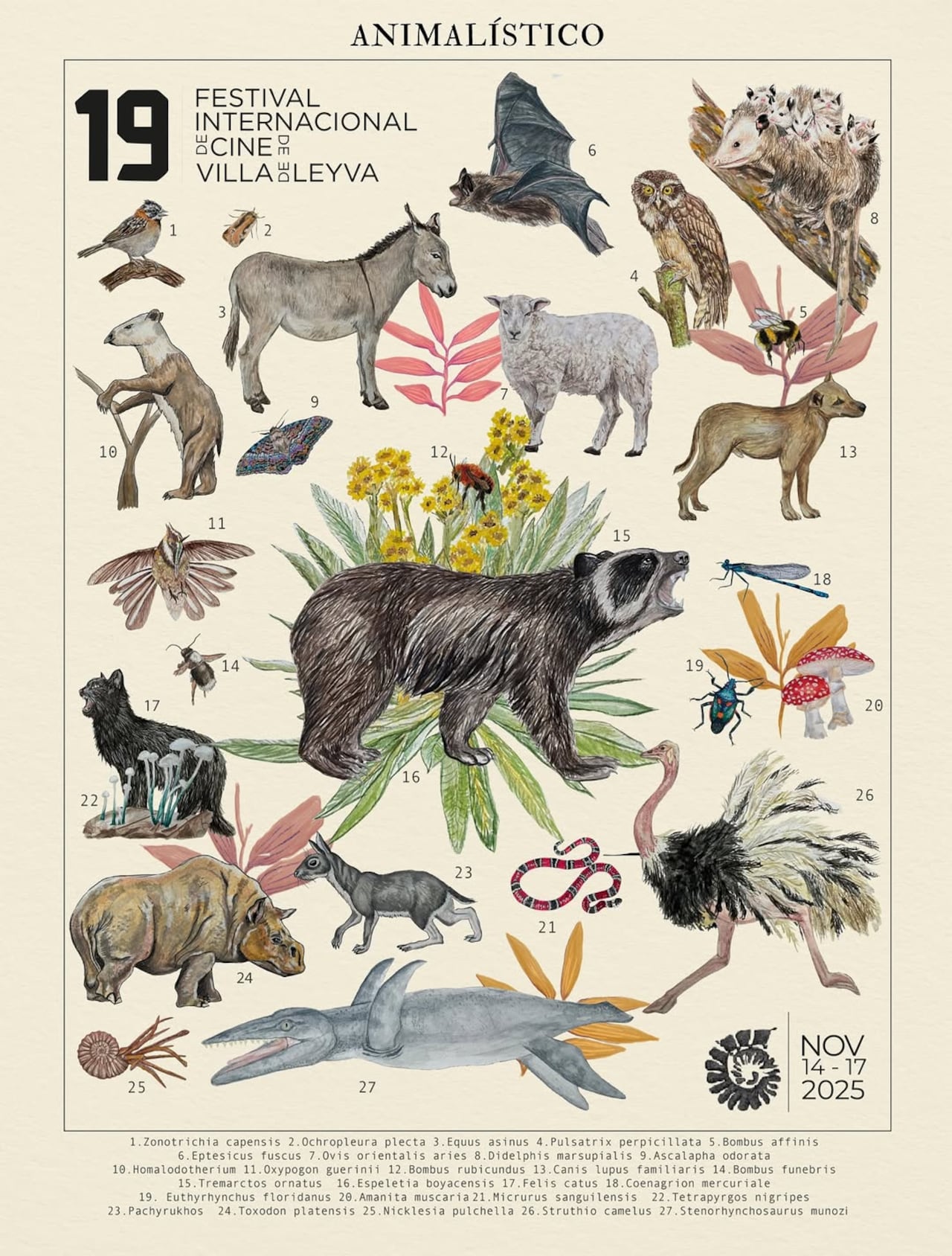 Festival Internacional de Cine de Villa de Leyva 2025