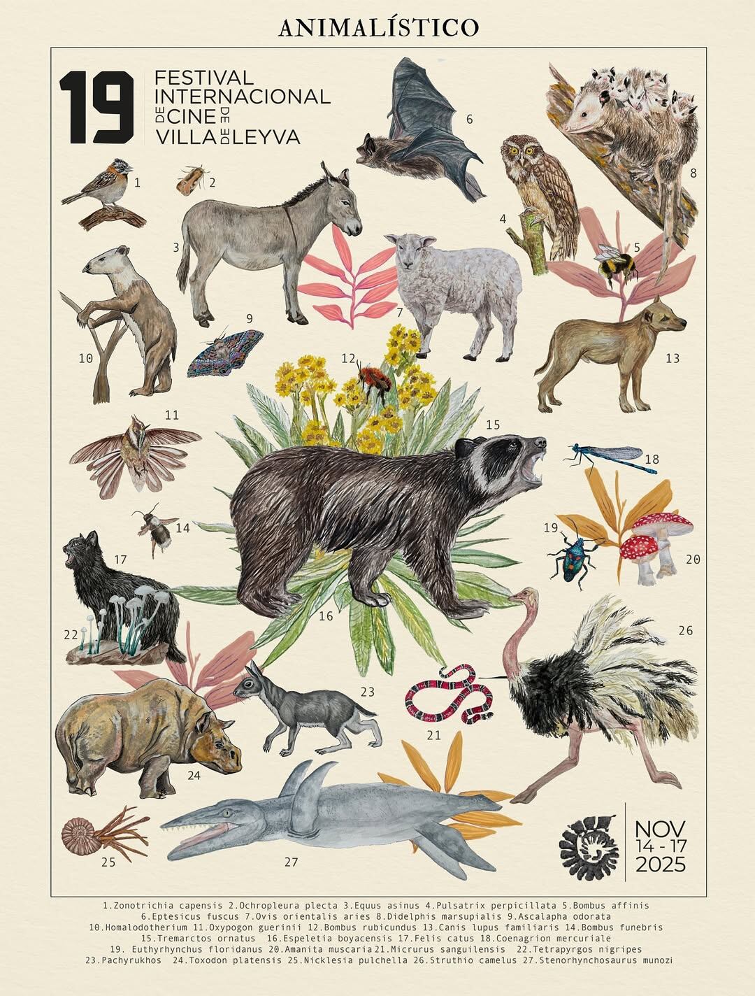 Festival Internacional de Cine de Villa de Leyva 2025