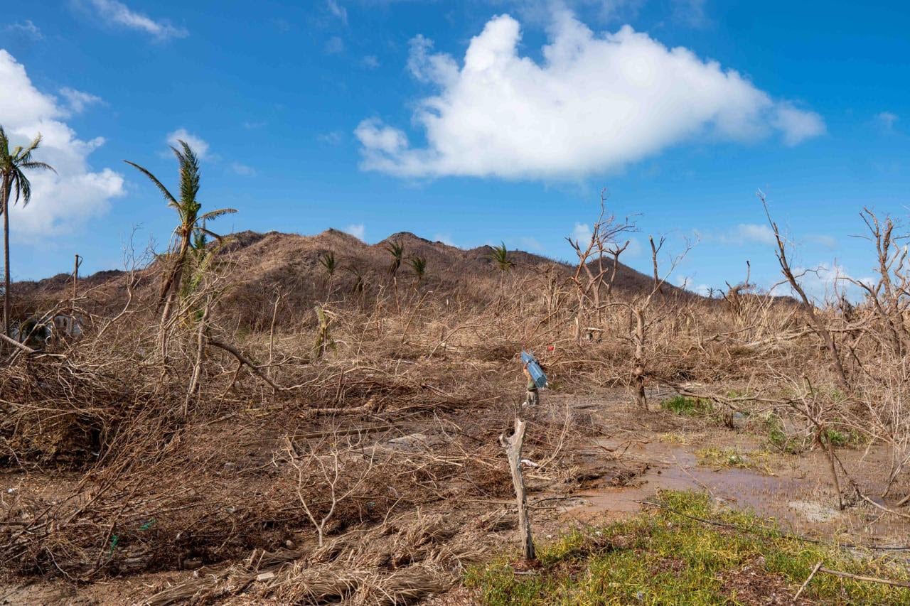 El antes y el después de los bosques de Providencia tras el paso del huracán Iota