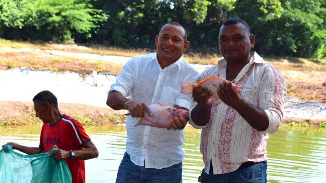 La inversión de Noruega, Suecia y Suiza, ayudará alternativas productivas sostenibles en 41 municipios que beneficiaran a más de 650 familias. Foto: Fondo Colombia Sostenible