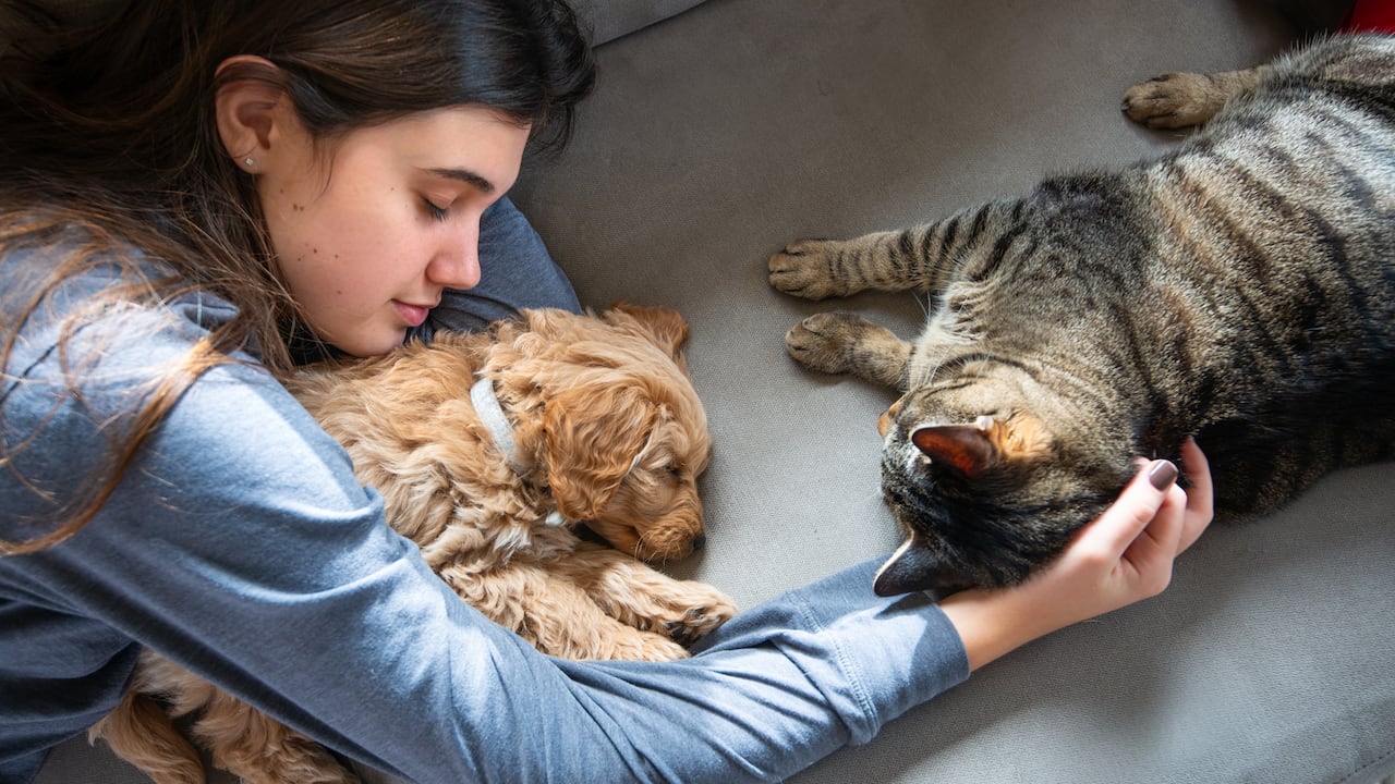 Convivir con estas mascotas trae muchos beneficios al cuerpo.