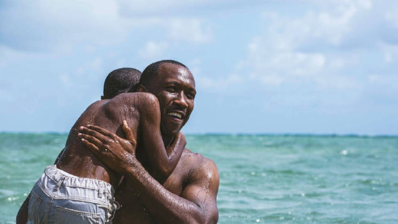 Las películas se podrán ver antes de que termine el primer semestre del año.