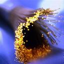 Hasta el momento, la compañía informática ha confirmado que su siguiente sistema operativo supondrá una remodelación de Windows y pasará a estar construido sobre una estructura de System on a Chip (SoC).