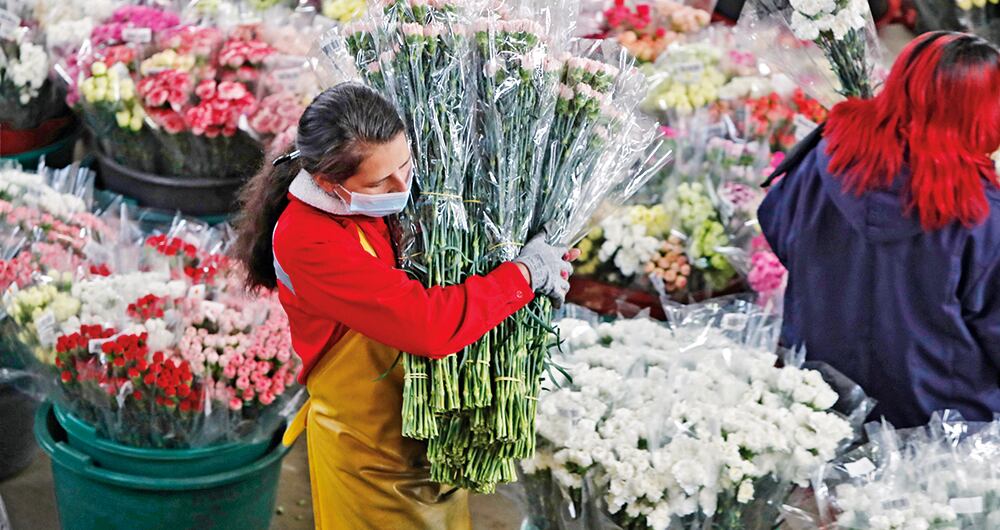 Para distintos analistas, la inflación global, que está “fuera de control”, provoca recesiones. Colombia viene de un 2021 dinámico y se prevé que el ritmo se mantenga en 2022 gracias al consumo de los hogares y a la recuperación de la inversión y las exportaciones.