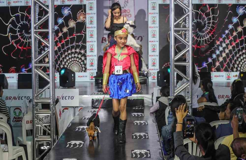 Foto: Carlos Julio Martínez / SEMANA