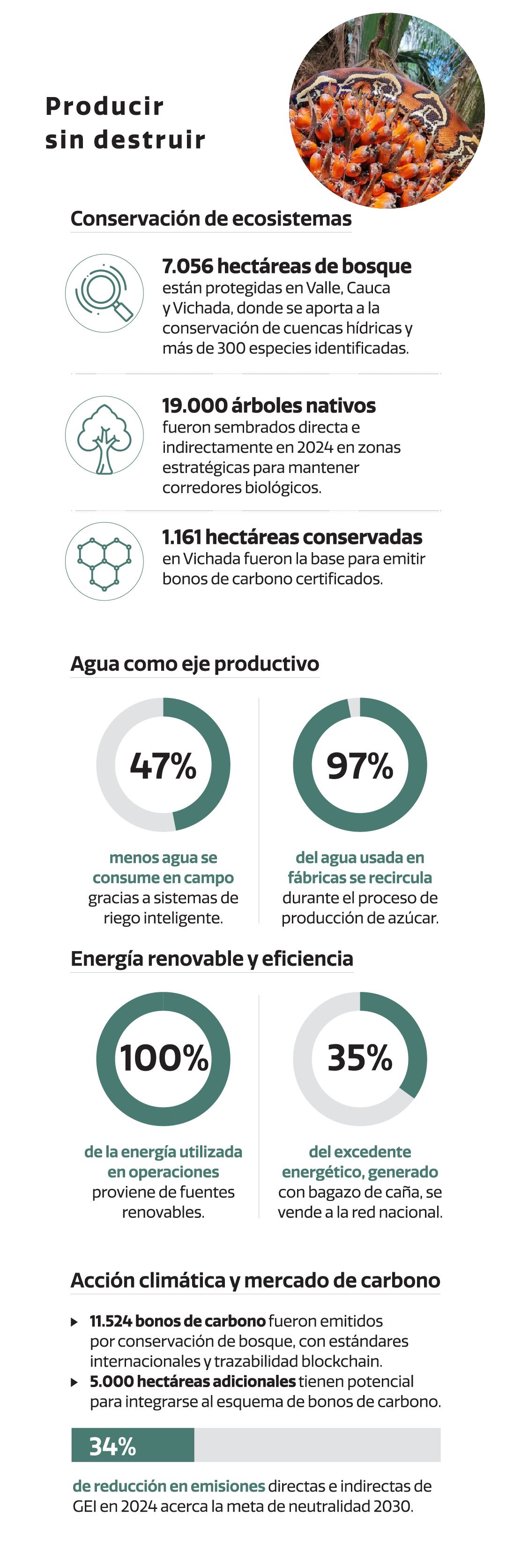 Rioapaila Castilla, en cifras.