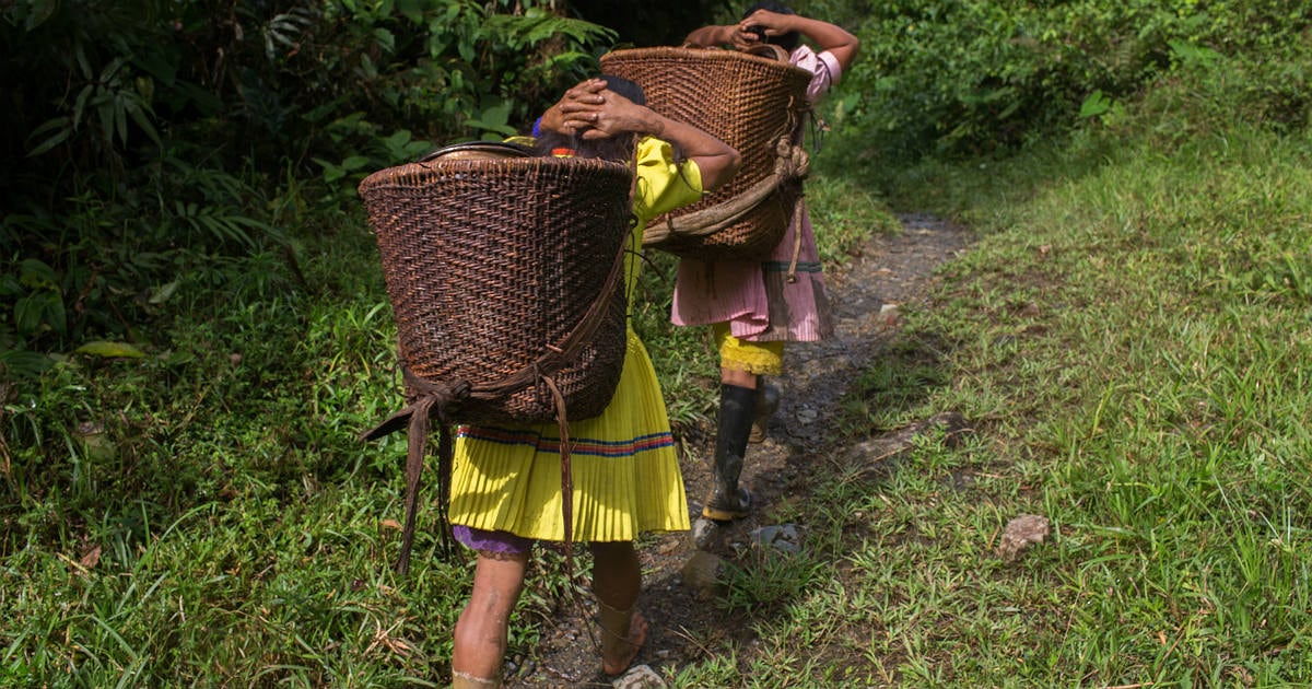 Imagen de referencia del Bajo Baudó.