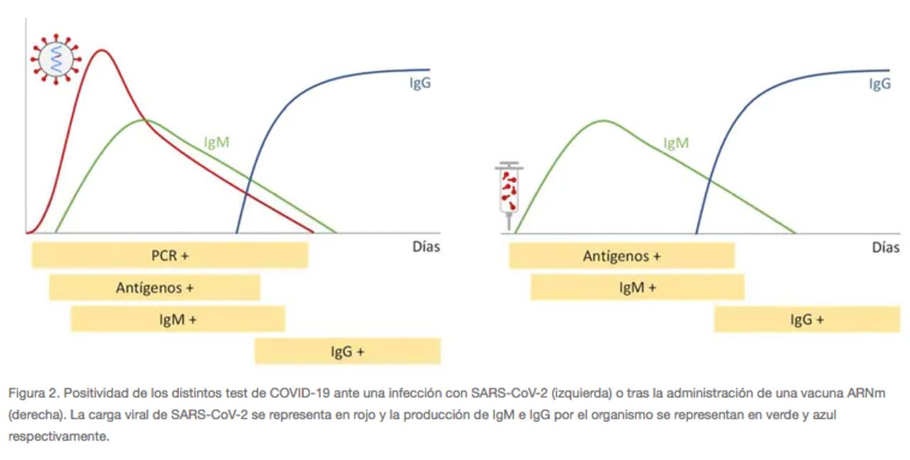Distintos tipos de test