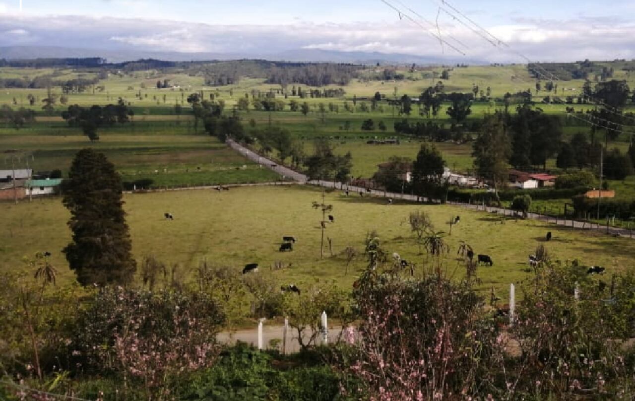 Sotaquirá, Boyacá