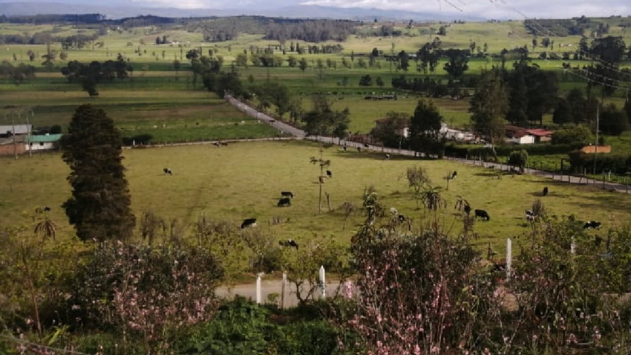 Sotaquirá, Boyacá