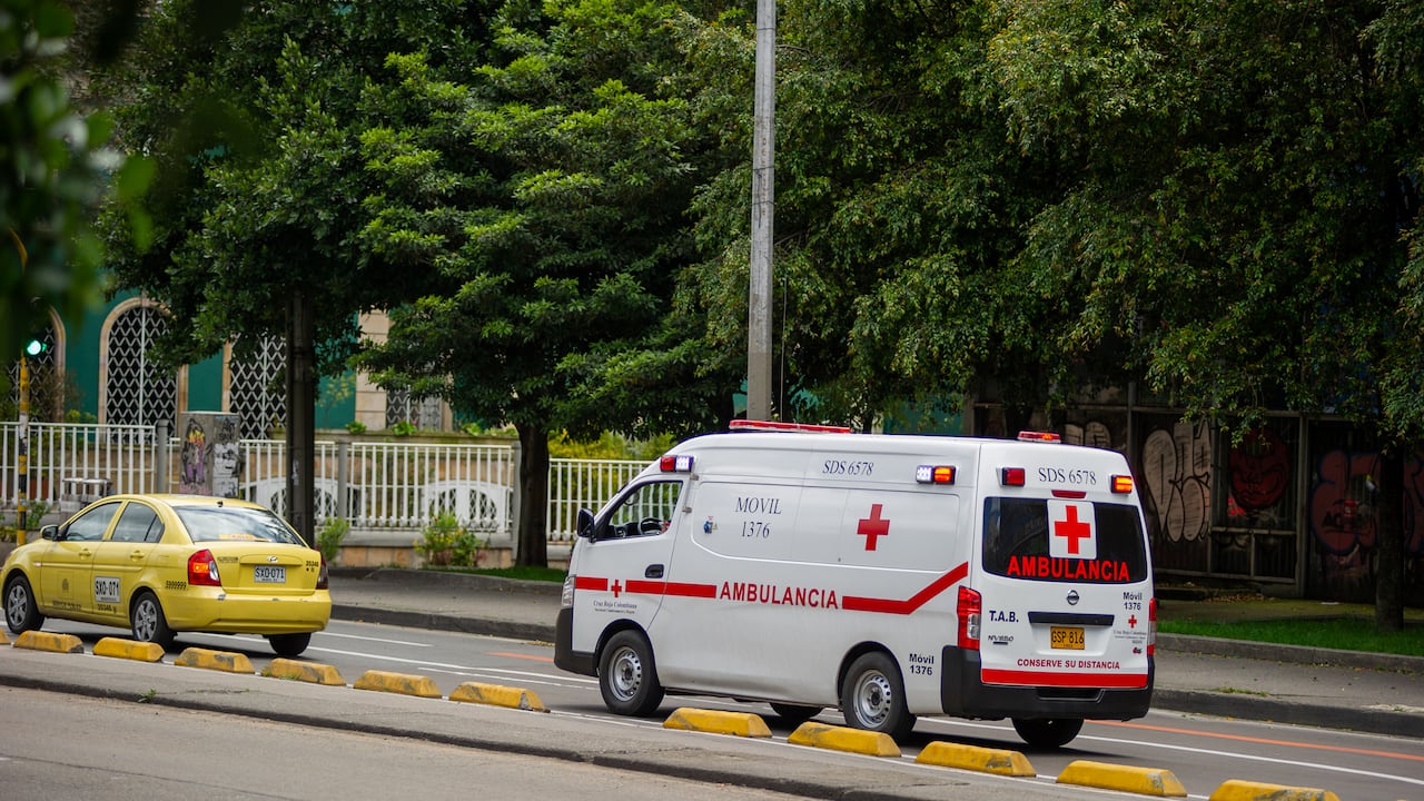 Imagen de referencia. (Photo by Sebastian Barros/NurPhoto via Getty Images)