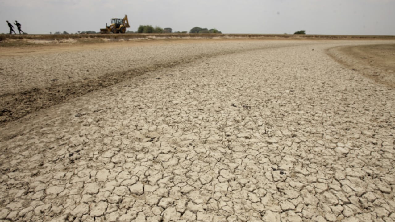 CASANARE
La sequía de Paz de Ariporo cobró la vida de miles de animales. Hay alerta roja por incendios forestales en Arauca, Meta, La Guajira, Magdalena, Atlántico y Bolívar. La Sierra Nevada es una de las primeras víctimas de las llamas.