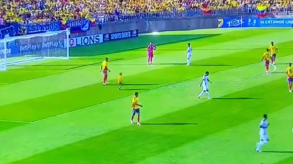 El niño ingresó y corrió hasta el centro del campo.