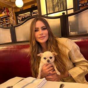 ¿Quién se quedará con Bubbles? La incógnita tras el divorcio de Sofía Vergara y Joe Manganiello