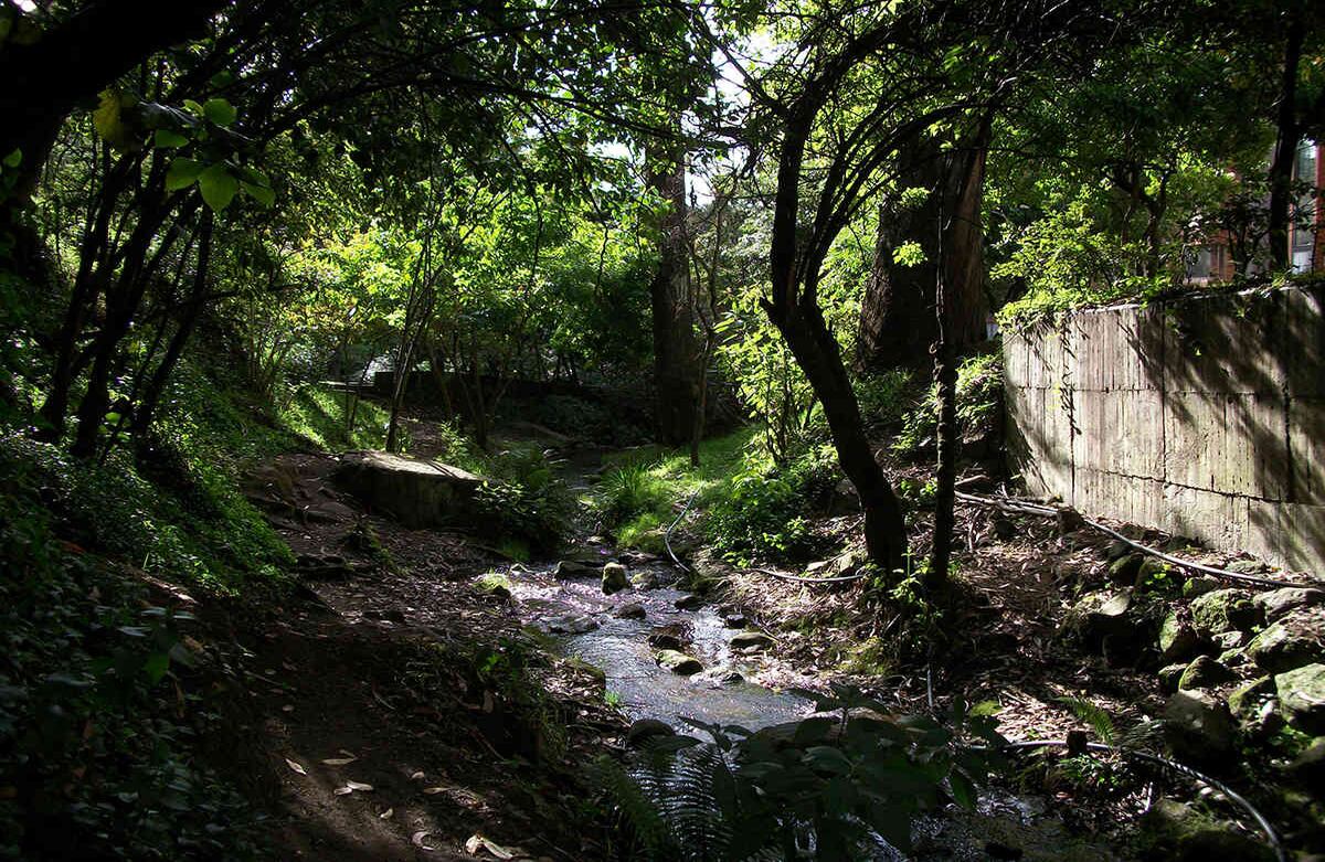 Quebrada La Vieja: A un solo paso de la ciudad tiene un sendero verde, el de la quebrada La Vieja, para que se desconecte del afán, el tráfico y el ruido. Arranca en la carrera 1 con calle 71 y el objetivo final es llegar hasta la virgen, desde donde podrá observar una gran postal de la ciudad. En el camino se cruzará con hilos de agua transparente, pájaros y muchas plantas. Es una gran opción para respirar aire puro sin alejarse mucho de la ciudad. Eso sí, tiene que madrugar, pues el sendero solo está abierto entre las 5 y las 10 de la mañana.  Foto: http://sostenibilidad.semana.com 