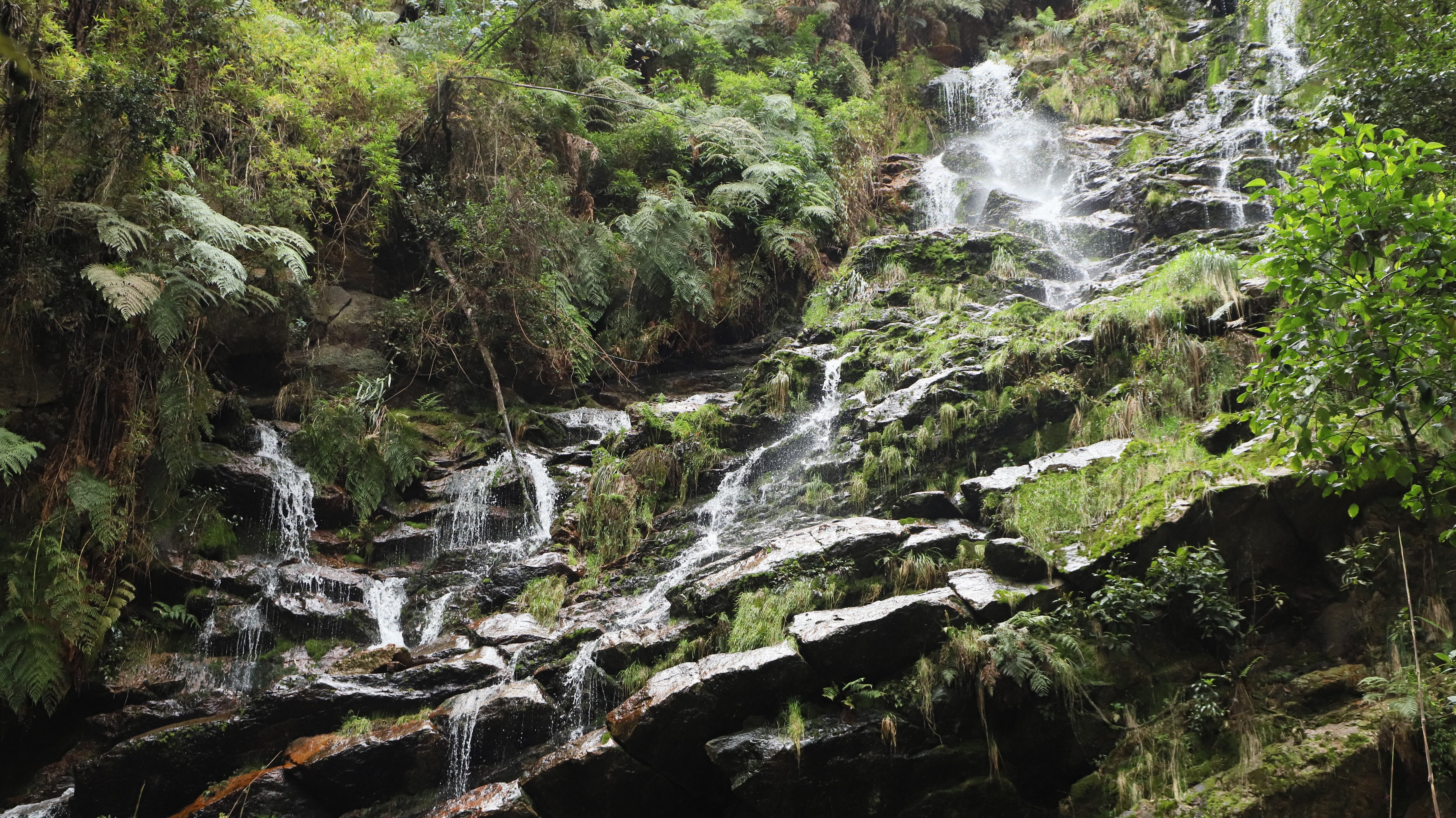 Bogotá conserva diversos atractivos naturales como caminos, bosques y cascadas.