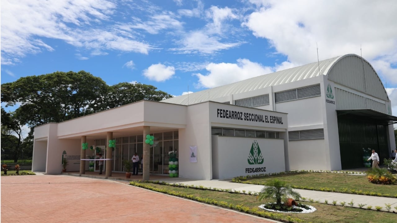 Fedearroz genera desarrollo económico y social en 211 municipios de Colombia