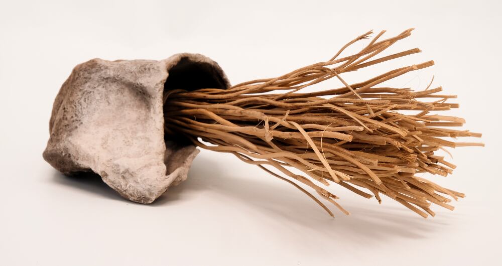 El MAMBO invitó a la artista colombiana Rosario López a plantear un ejercicio curatorial desde su visión y práctica artística.