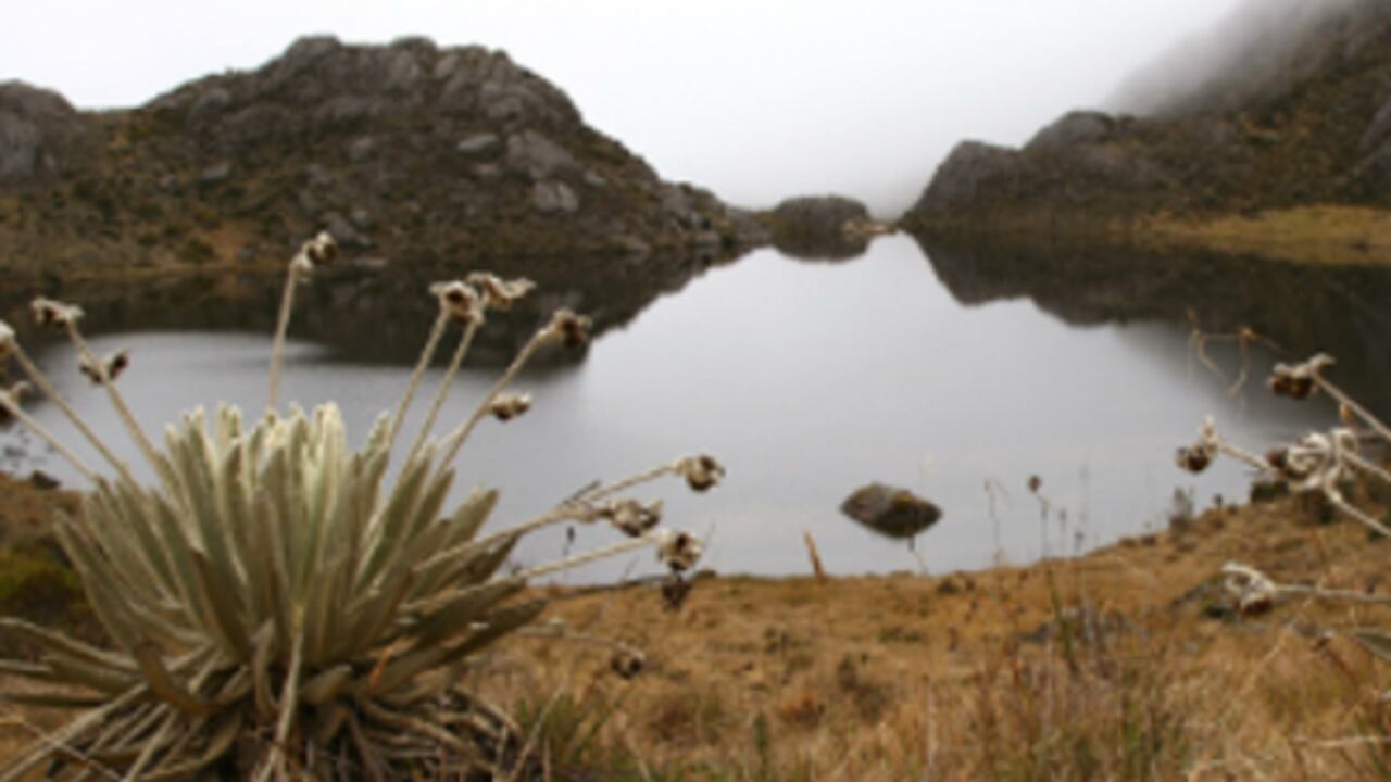 La meta de esta alianza es la reposición en 2016 de 1,8 millones de metros cúbicos de agua a través de la intervención de 1.350 hectáreas en dos fondos de agua: el "Agua Somos" en los páramos y bosques andinos que rodean Bogotá y "Cuenca Verde", en plena cordillera de los Andes y cerca a la ciudad de Medellín.