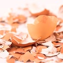 Cáscara de huevo