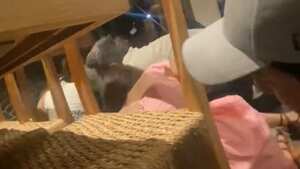 Las personas se resguardaban bajo las mesas.