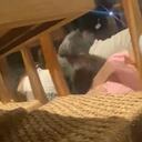 Las personas se resguardaban bajo las mesas.