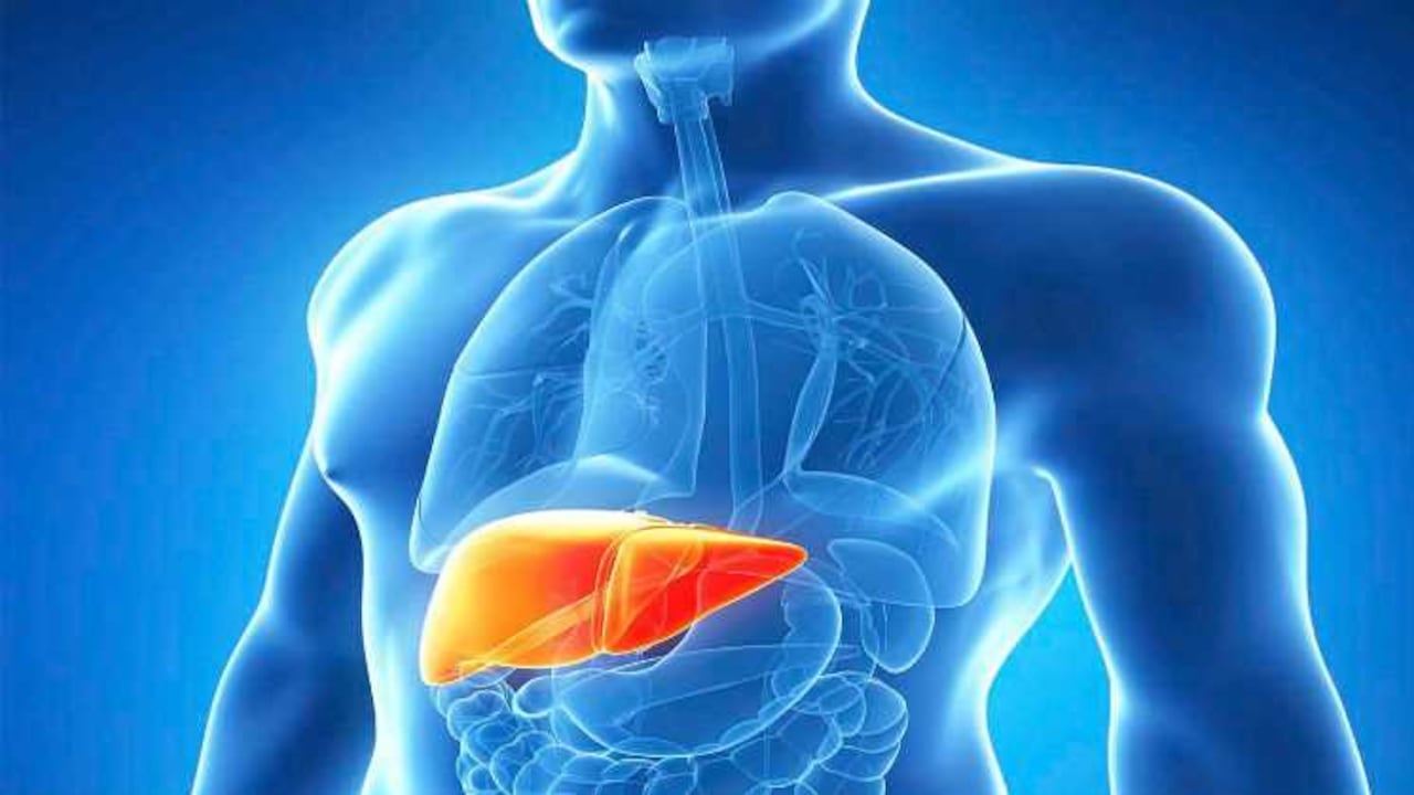 Cerca del 3 % de la población mundial tiene hepatitis C y unas 500.000 mueren cada año por complicaciones en el hígado derivadas de esta infección.