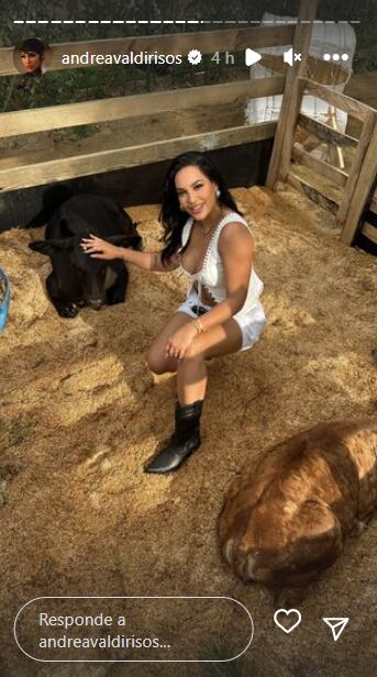 Foto: Instagram @andreavaldirisos.