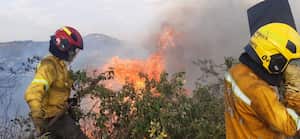 Más de 40 personas están en el sitio controlando la situación.