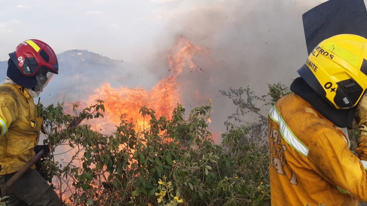 Devastador incendio en la vereda Los Limones, zona rural de Cali; bomberos llevan más de cuatro horas intentando controlar la situación.