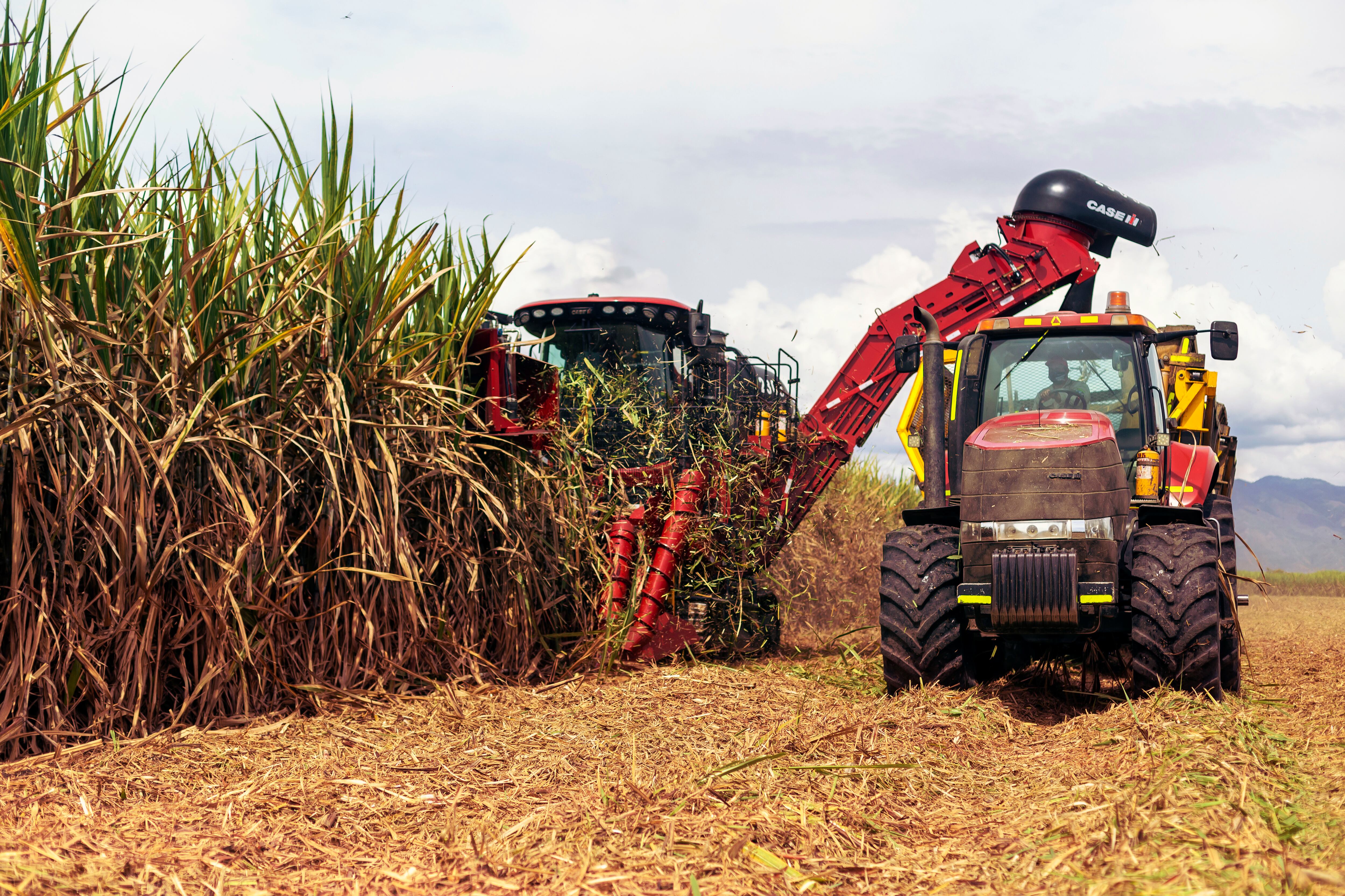 La utilización de maquinaria especializada aporta a la agricultura de precisión, una forma de contribuir al medio ambiente y tener prácticas sostenibles.