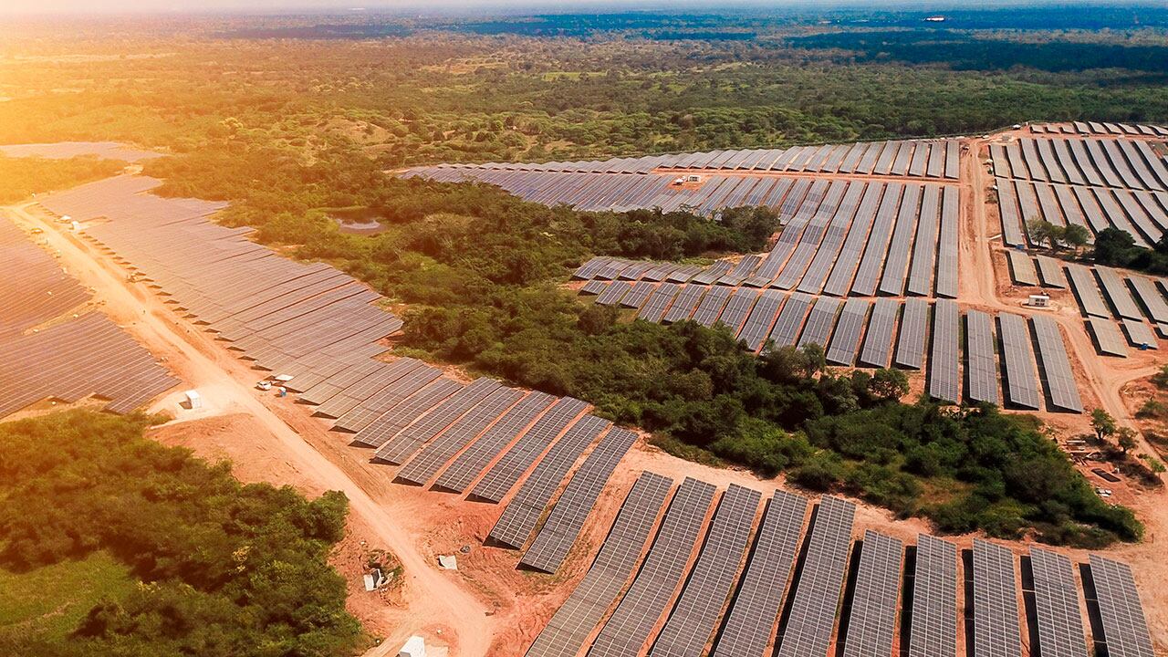 Bosque Solares de Bolívar evitará la emisión de 110.212 toneladas anuales de CO2.