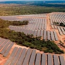 Bosque Solares de Bolívar evitará la emisión de 110.212 toneladas anuales de CO2.