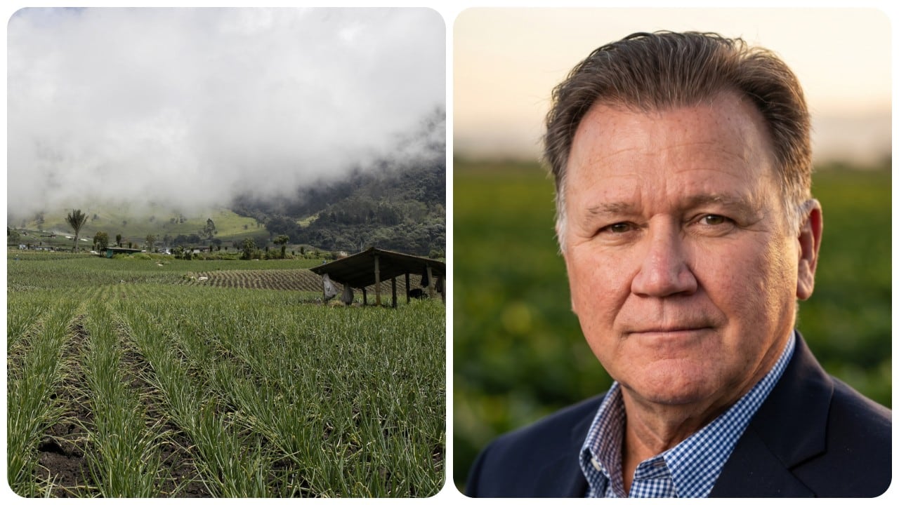 Indalecio Dangond, ministro de Agricultura designado para el gobierno de Abelardo De La Espriella.