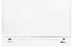 Cui XiuWen, la artista independiente china. http://fotomuseo.org/fotografica_2013