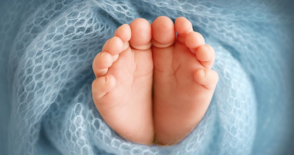 Sin papitos ni mamitas _2