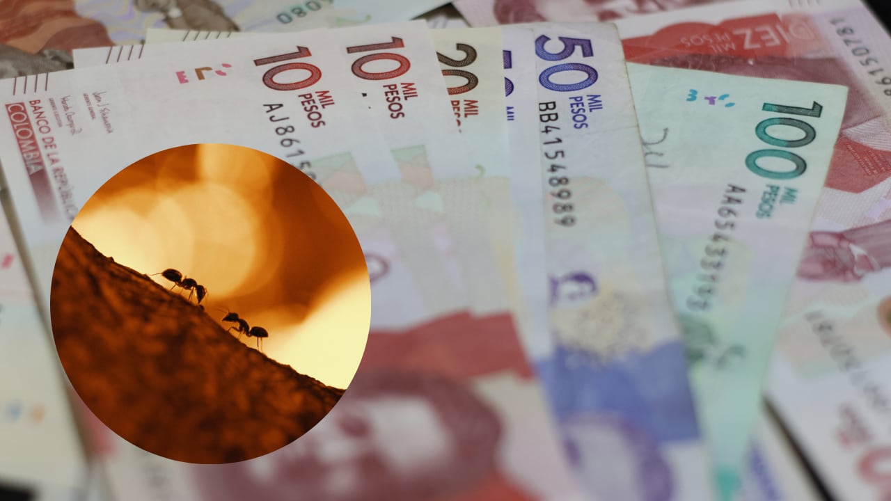 Las aplicaciones se convirtieron en una fuente constante de gastos silenciosos para los colombianos.