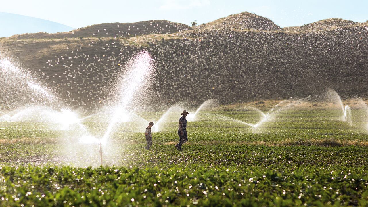 Uno de los grandes retos del Gobierno es llegar al 80 por ciento del tratamiento de las aguas residuales en caudal, lo cual favorecería sectores como el de la agricultura.