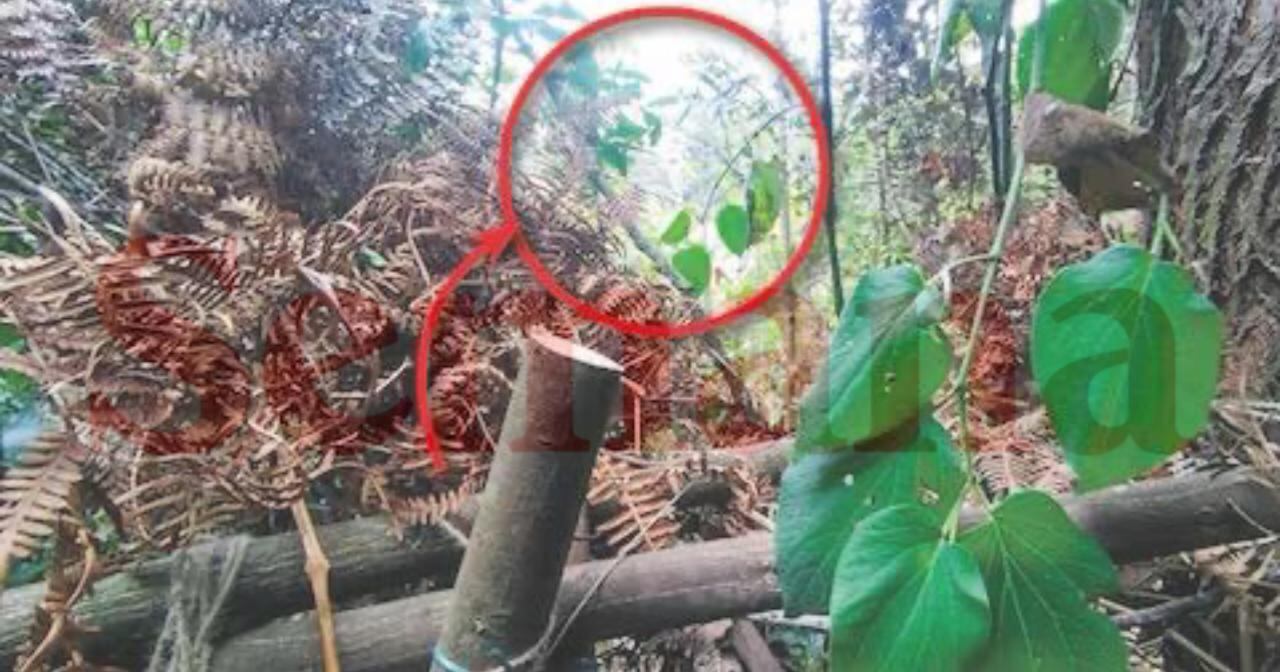 Las autoridades inspeccionaron la zona donde fue asesinado el esmeraldero Juan Aguilar, en Bogotá.