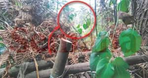 Las autoridades inspeccionaron la zona donde fue asesinado el esmeraldero Juan Aguilar, en Bogotá.