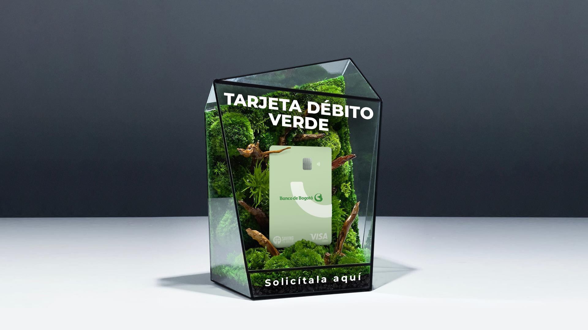 Por la Amazonía, un producto bancario lanzado por el Banco de Bogotá