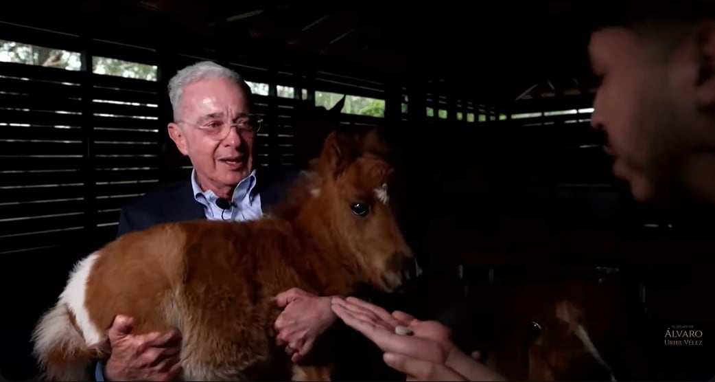 La conversación política entre Westcol y Uribe pasó a un ambiente más relajado cuando ambos visitaron los establos de la finca.