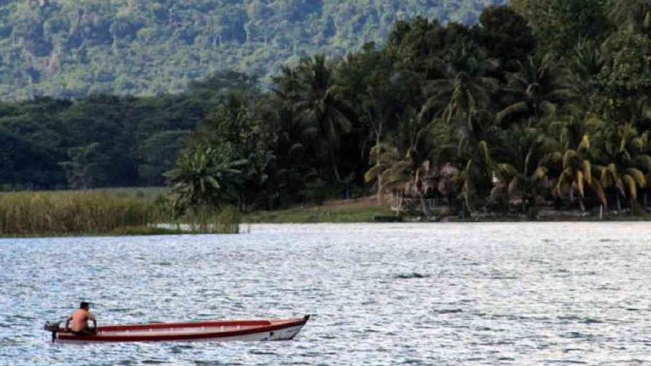 La Biósfera Maya de Guatemala ocupa una quinta parte del territorio del país centroamericano. Foto: EUGENIO FERNANDEZ VAZQUEZ