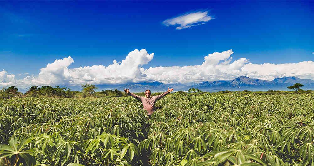 La Paz, Cesar, fue el primer municipio en el que se implementaron los PDET, que incluyen diferentes proyectos agrícolas.