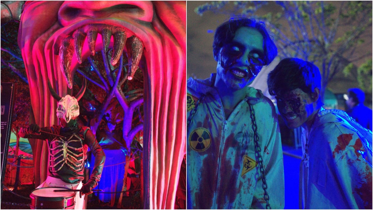 Terror al Parque 5: El Origen del Mal en Mundo Aventura