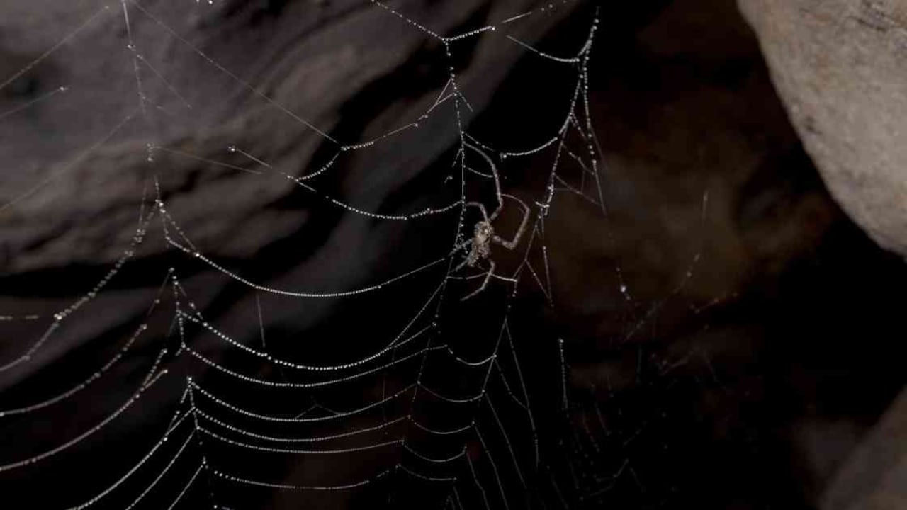 En Santander se han inventariado más de 200 sistemas subterráneos. Foto: Felipe Villegas (Instituto Humboldt).