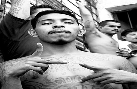 El descenso de la violencia ha llamado la atención de organismos internacionales como Naciones Unidas o la Organización de Estados Americanos.
