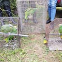 El operativo fue ejecutado por integrantes de la Policía de Carabineros