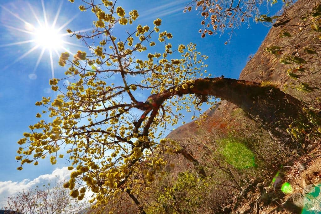 Los centros poblados Umpalá y Pescadero quedaron por fuera del área declarada.