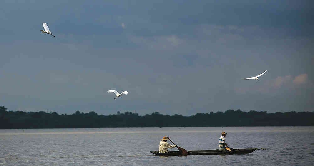 El río Magdalena y sus garzas que acompañan siempre a los pescadores.